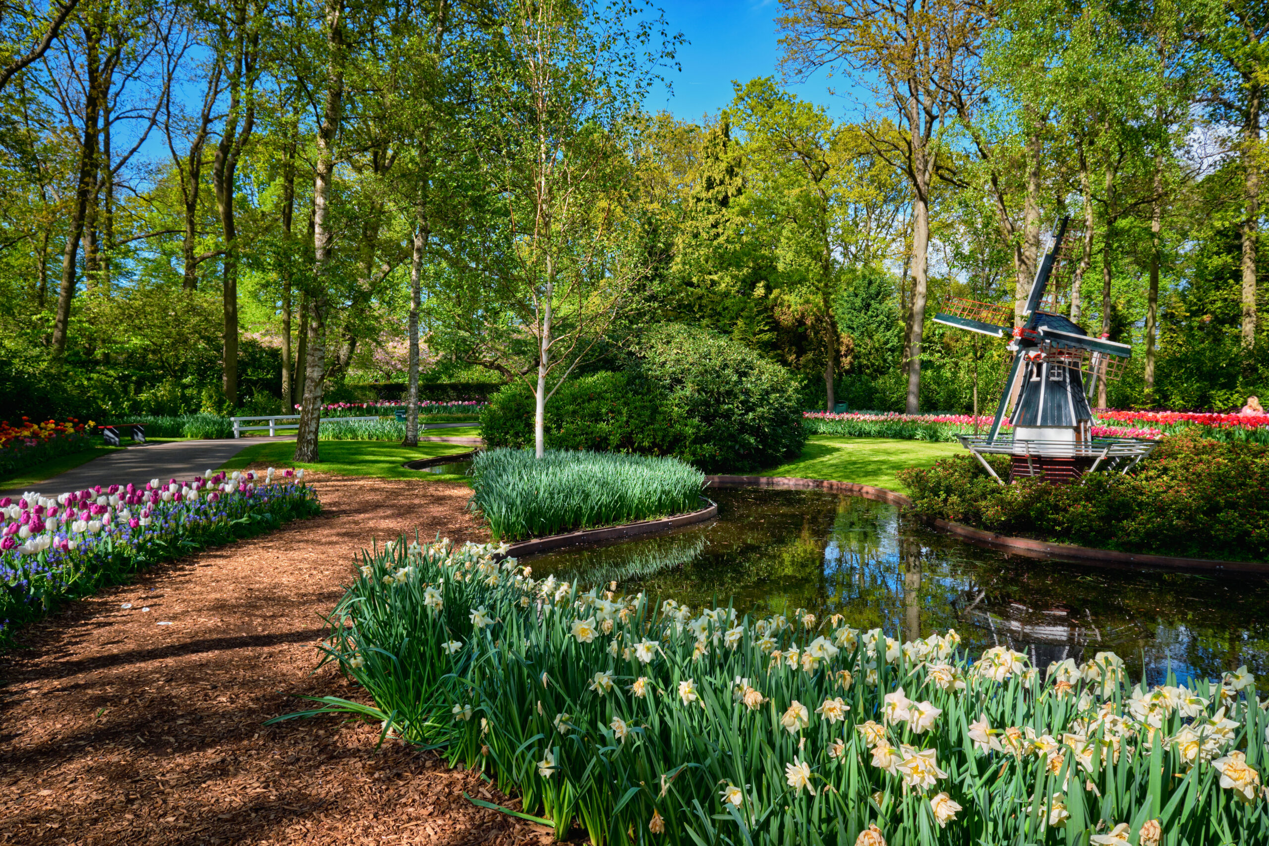Keukenhof flower garden, One of the world's largest flower gardens. Lisse, the Netherlands.